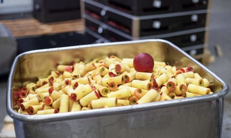 Giving unused food a valuable new life through fermentation