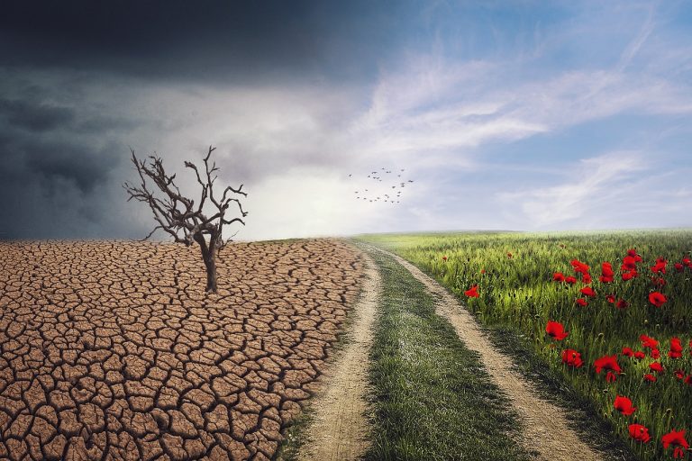 Can AI Help Farmers Tackle the Threats Posed by Climate Change and Supply Demands?